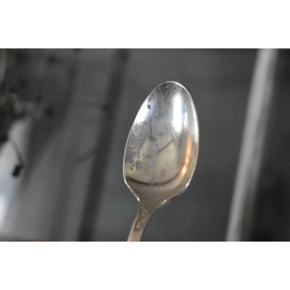 Six‎ WM Rogers Pricilla-ladyann teaspoons Original Rogers silverplate flatware